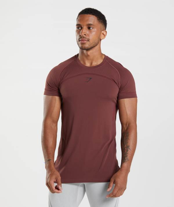 Gymshark 315 Seamless T-Shirt Herren Rosa Braun | 0173YWMIN