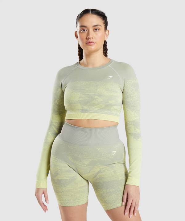Gymshark Adapt Ombre Crop Top Damen Grau | 3742TCXGO