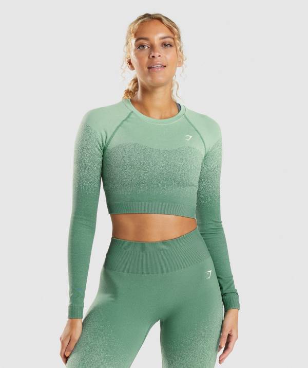 Gymshark Adapt Ombre Seamless Long Sleeve Crop Top Damen Grün Hellgrün | 8190HNZTE
