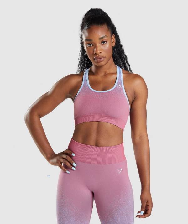 Gymshark Adapt Ombre Seamless Sport BH Damen Rosa Rosa Hellblau | 1643FRTMO