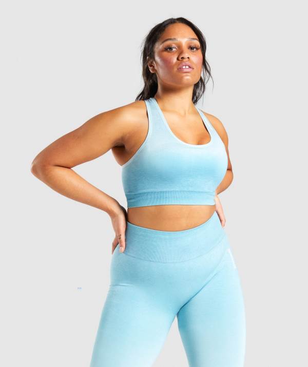 Gymshark Adapt Ombre Seamless Sport BH Damen Hellblau Hellblau | 7691XUBKM