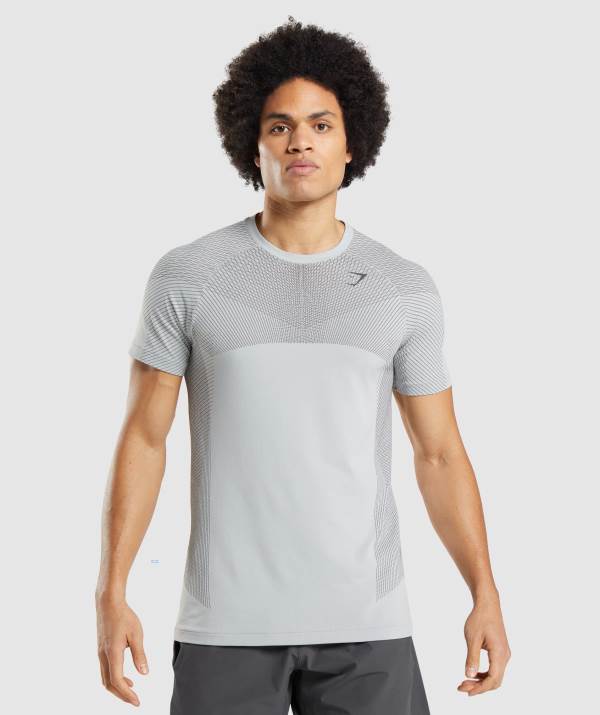 Gymshark Apex Seamless T-Shirt Herren Hellgrau Schwarz Grau | 2589PUKFE