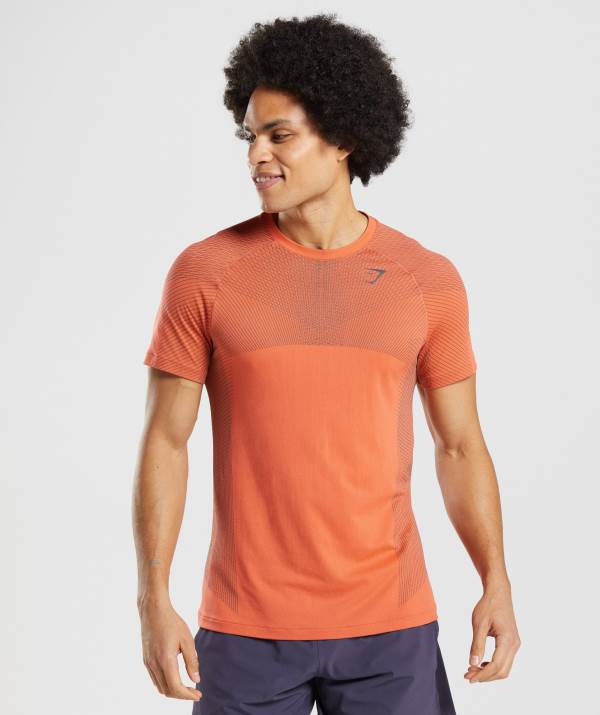 Gymshark Apex Seamless T-Shirt Herren Orange Schwarz Grau | 4963YOQNI