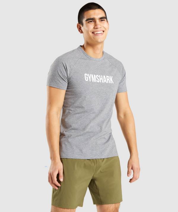 Gymshark Apollo T-Shirt Herren Grau | 1947IPYCE