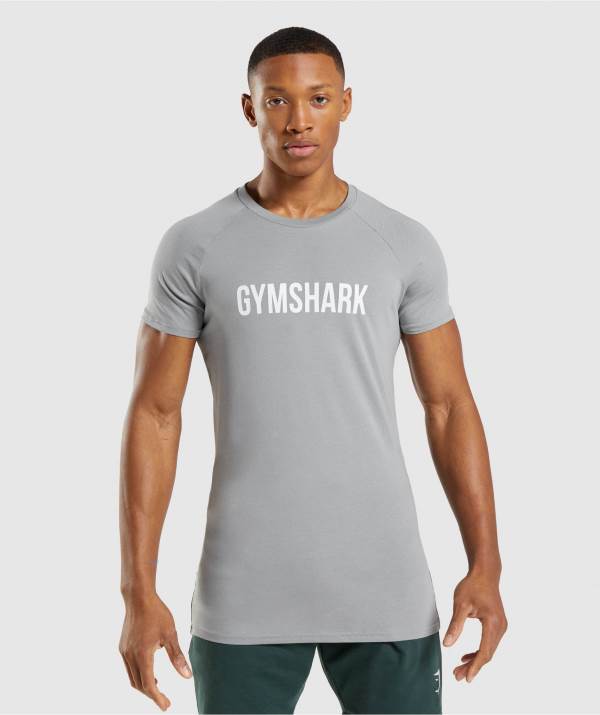 Gymshark Apollo T-Shirt Herren Grau | 8017EDIOX