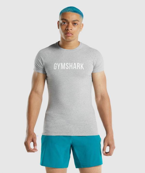 Gymshark Apollo T-Shirt Herren Hellgrau | 1956QZGXD