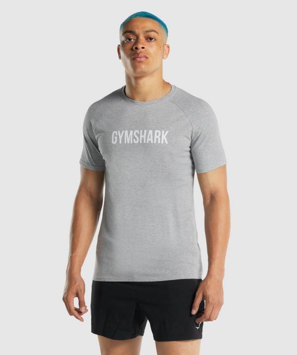 Gymshark Apollo T-Shirt Herren Hellgrau | 8521QTECX