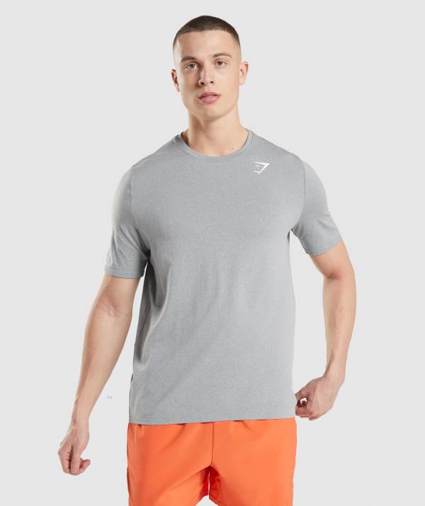 Gymshark Arrival Seamless T-Shirt Herren Grau | 9245WRTZB