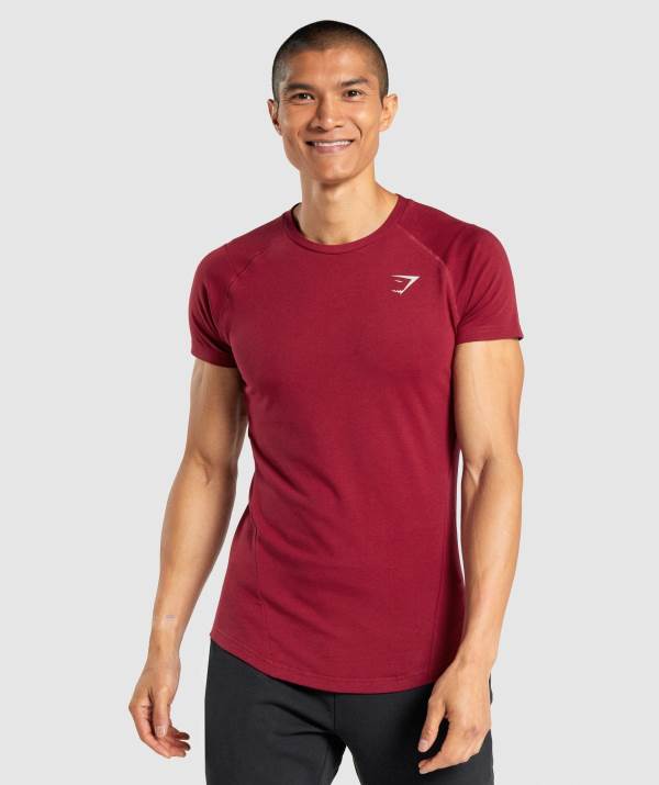Gymshark Bold T-Shirt Herren Bordeaux | 9083VEJBP