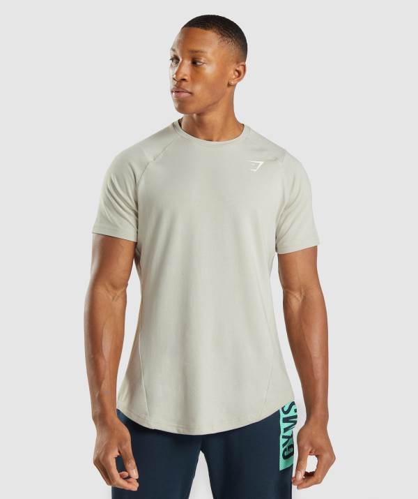 Gymshark Bold T-Shirt Herren Grau | 2190GPTHY