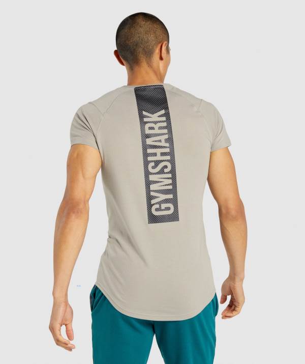 Gymshark Bold T-Shirt Herren Grau | 4062WOIUR