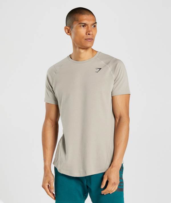 Gymshark Bold T-Shirt Herren Grau | 8507PIJMO