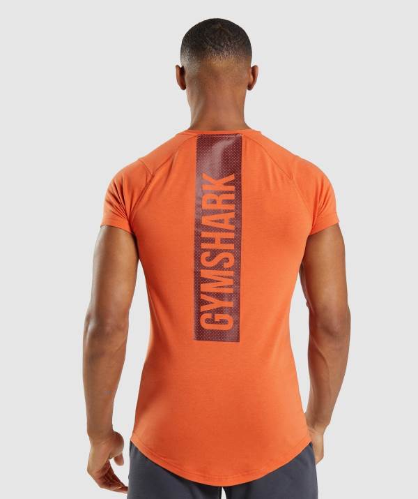 Gymshark Bold T-Shirt Herren Orange | 8497NLBSZ