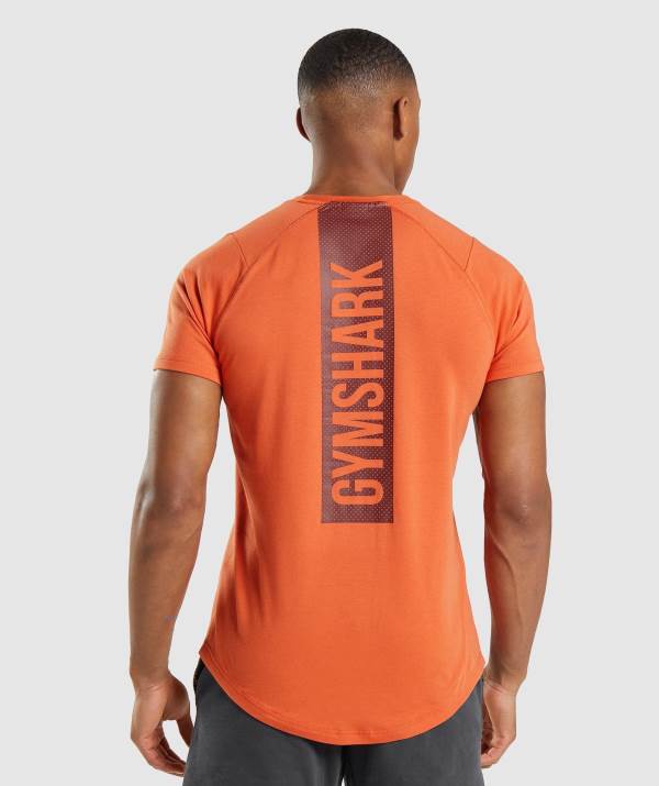 Gymshark Bold T-Shirt Herren Orange | 9847OTQGZ