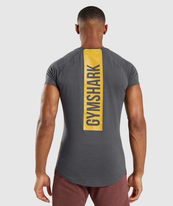 Gymshark Bold T-Shirt Herren Schwarz Grau | 9728ZSGDE