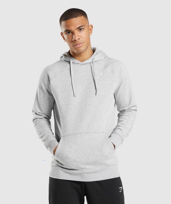 Gymshark Crest Hoodie Herren Hellgrau | 0817CVBAP