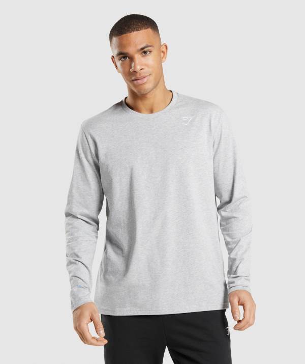 Gymshark Crest Long Sleeve Sweatshirt Herren Hellgrau | 1582WIJDY
