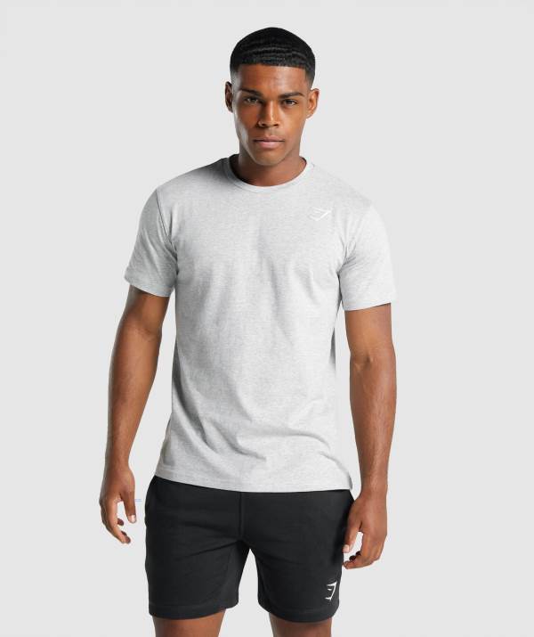 Gymshark Crest T-Shirt Herren Hellgrau | 8703PQULM