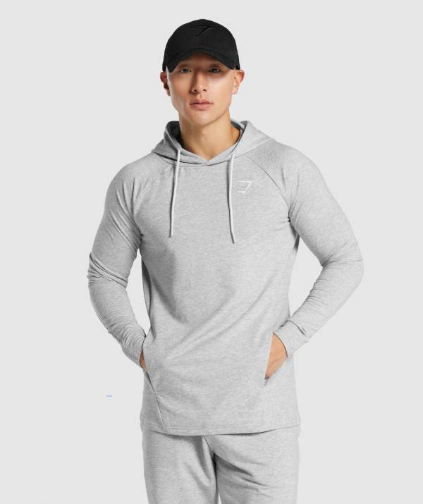 Gymshark Critical 2.0 Hoodie Herren Hellgrau | 4320KLWQC