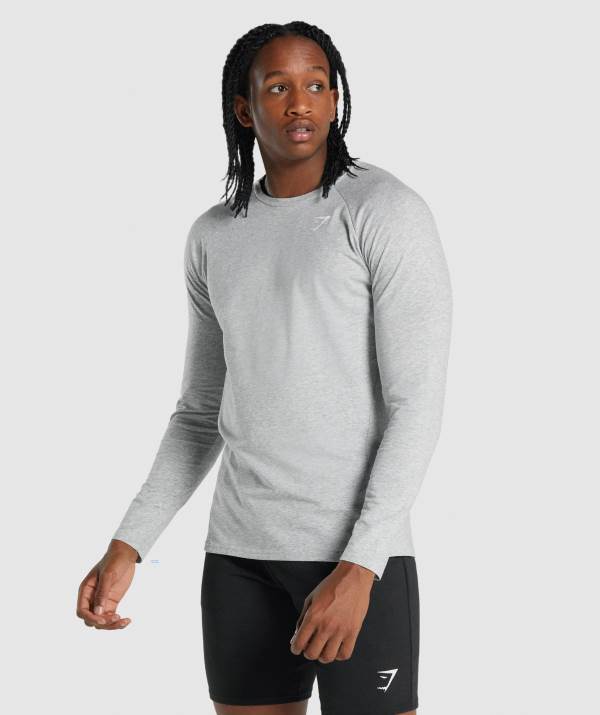 Gymshark Critical 2.0 Long Sleeve Sweatshirt Herren Hellgrau | 8071GCAKM