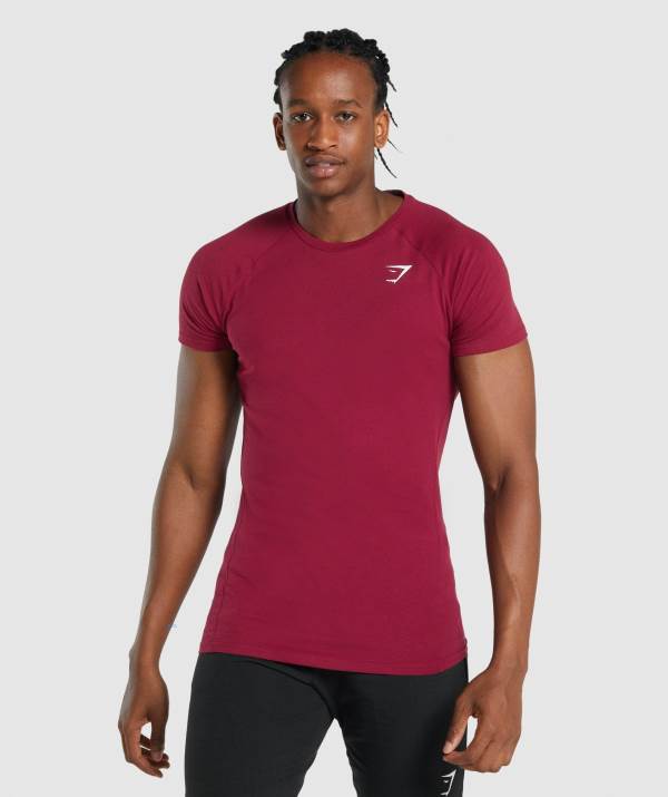 Gymshark Critical 2.0 T-Shirt Herren Bordeaux | 7824YDJNE