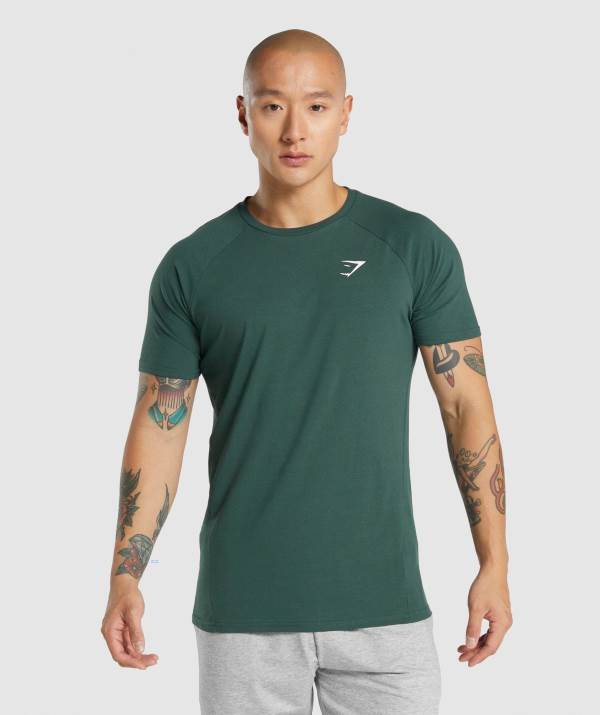 Gymshark Critical 2.0 T-Shirt Herren Dunkelgrün | 9146BAQUW