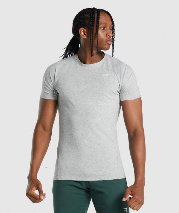 Gymshark Critical 2.0 T-Shirt Herren Hellgrau | 3795AKBYR