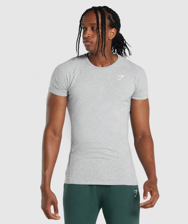 Gymshark Critical 2.0 T-Shirt Herren Hellgrau | 7421RLYAV