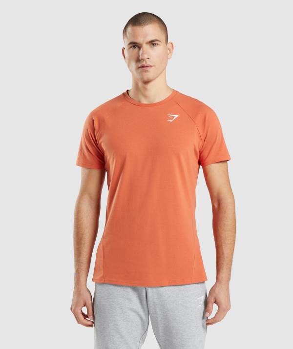 Gymshark Critical T-Shirt Herren Orange | 5096TRUIH