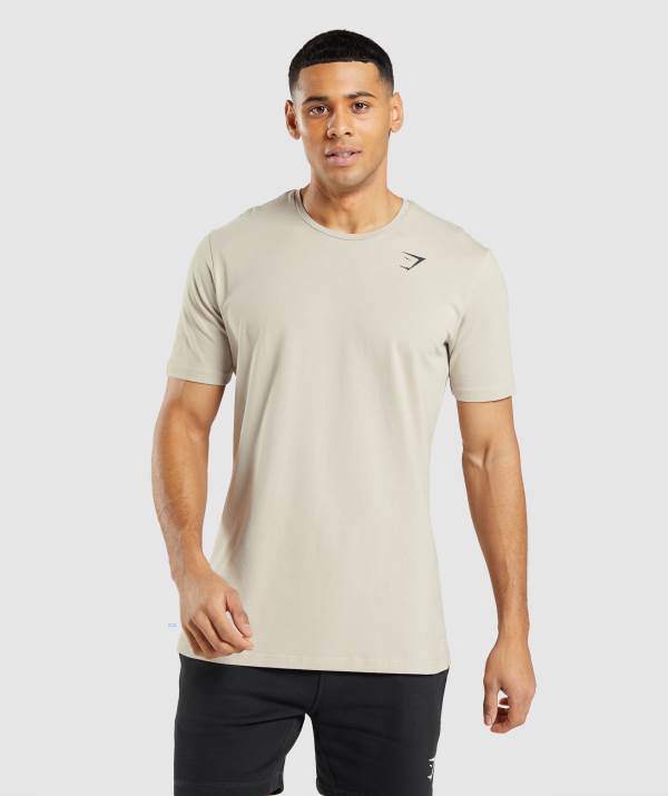 Gymshark Essential T-Shirt Herren Grau | 1247BFPGY