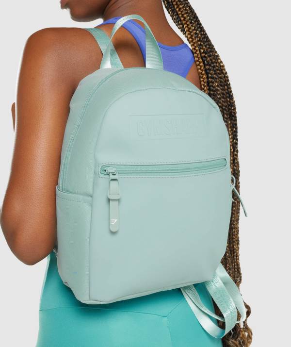 Gymshark Everyday Mini Rucksack Damen Hellblau | 0958UJQAI