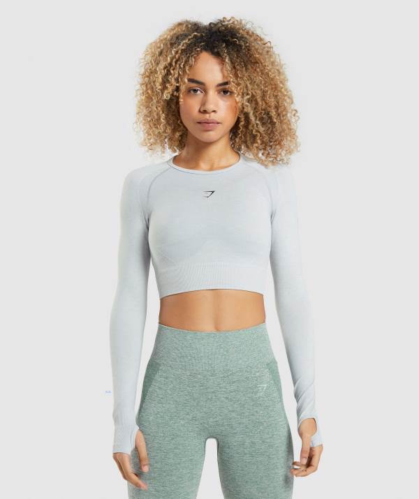 Gymshark Flex Sports Long Sleeve Crop Top Damen Hellgrau | 5381HVFLY