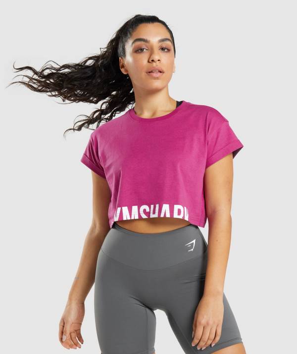 Gymshark Fraction Crop Top Damen Rosa | 0519YGABH