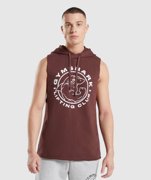 Gymshark Legacy Drop Arm Hoodie Herren Rosa Braun | 3480TYNEJ