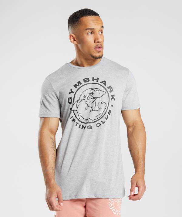 Gymshark Legacy T-Shirt Herren Hellgrau | 5618LJOMY