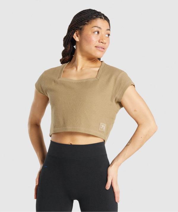 Gymshark Pause Crop Top Damen Hellbraun | 9583YBPKD
