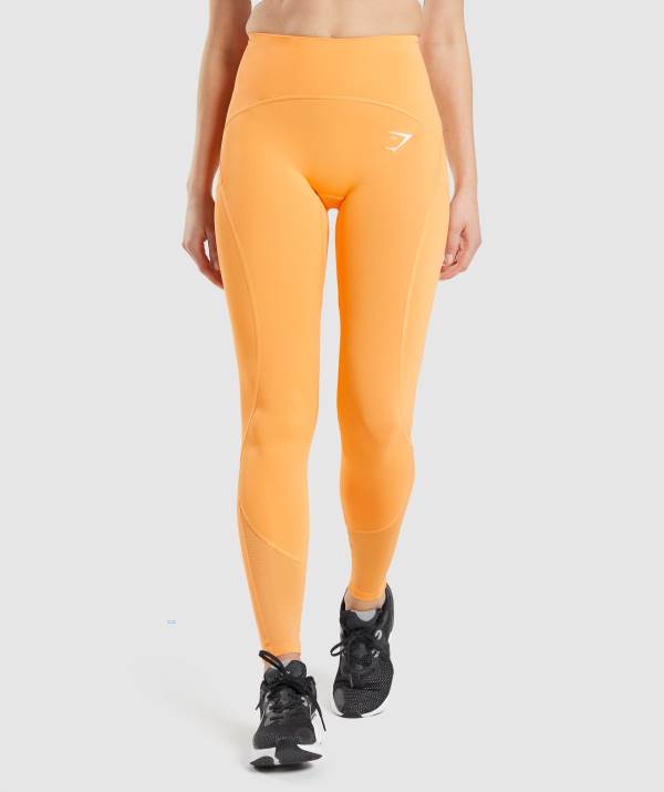 Gymshark Pulse Mesh Leggings Damen Aprikose Orange | 9726QHJWZ