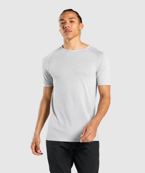 Gymshark Retake Seamless T-Shirt Herren Hellgrau Grau | 0784HSVWU