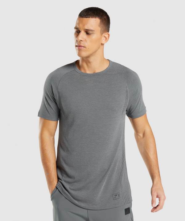 Gymshark Retake Seamless T-Shirt Herren Schwarz Grau | 1732KCTRL
