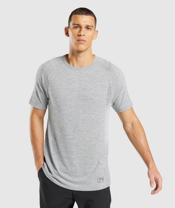 Gymshark Retake Seamless T-Shirt Herren Hellschwarz Grau | 4931SCQTU