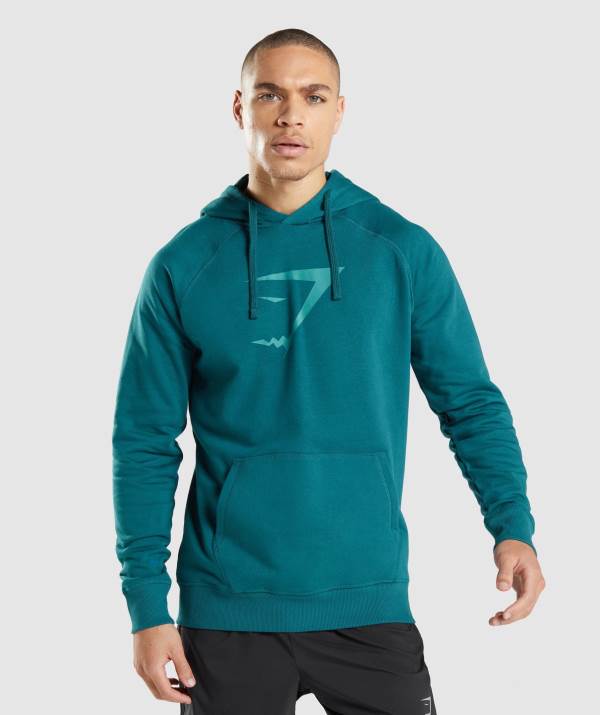 Gymshark Sharkhead Infill Hoodie Herren Türkis | 0381NDCRW