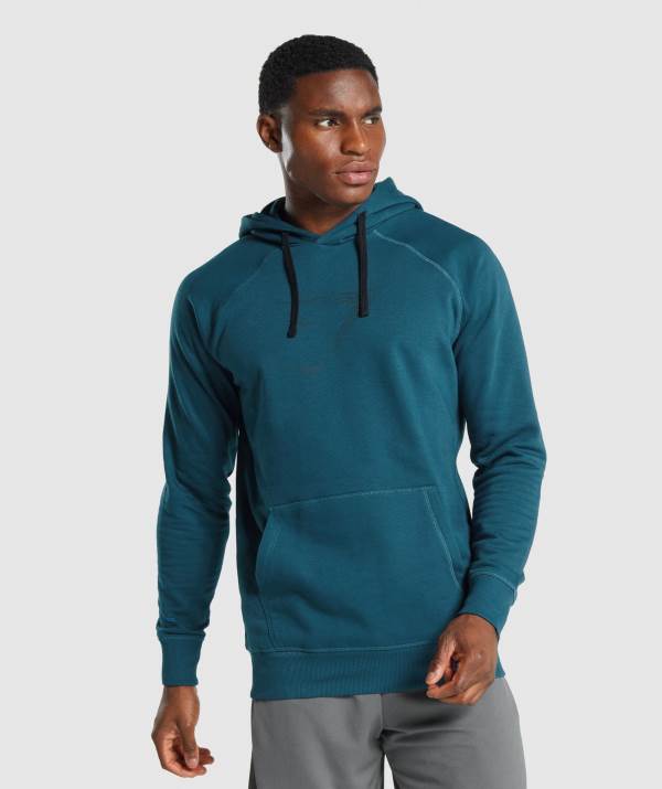 Gymshark Sharkhead Infill Hoodie Herren Türkis | 3618POEDL