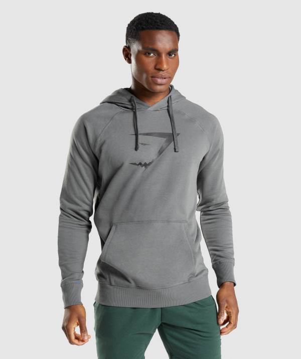 Gymshark Sharkhead Infill Hoodie Herren Tiefesgrau | 5483YIJCN