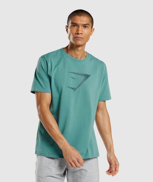 Gymshark Sharkhead Infill T-Shirt Herren Türkis | 3095TIXBA