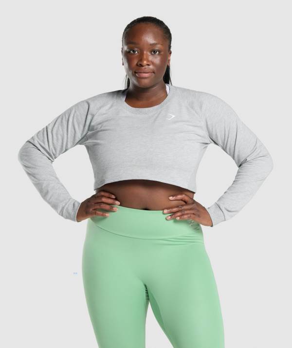 Gymshark Sport Cropped Pullover Sweatshirt Damen Hellgrau | 2407DTVES
