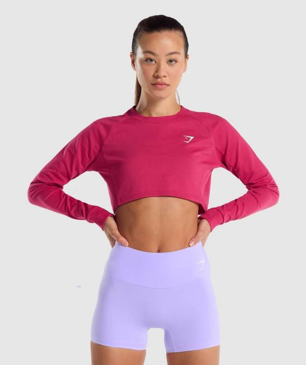 Gymshark Sport Cropped Pullover Sweatshirt Damen Rosa | 9132FHNCV