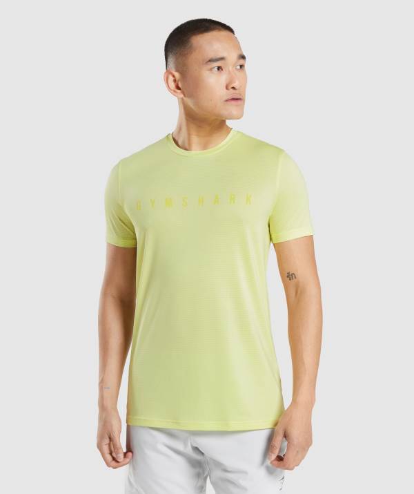 Gymshark Sport Stripe T-Shirt Herren Grün | 3154OIUEY