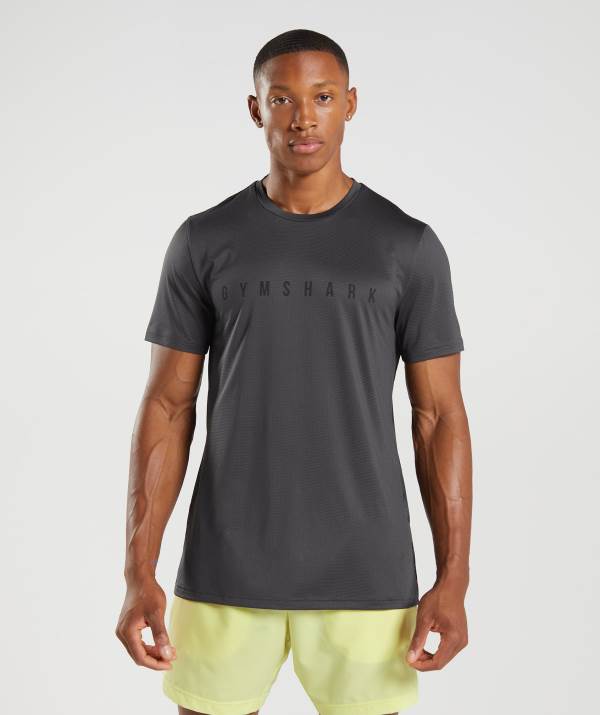 Gymshark Sport Stripe T-Shirt Herren Schwarz Grau | 4082NDSTH