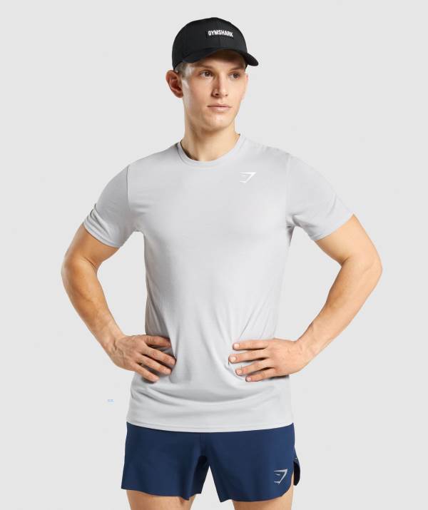 Gymshark Sports T-Shirt Herren Hellgrau | 5706UAPXL