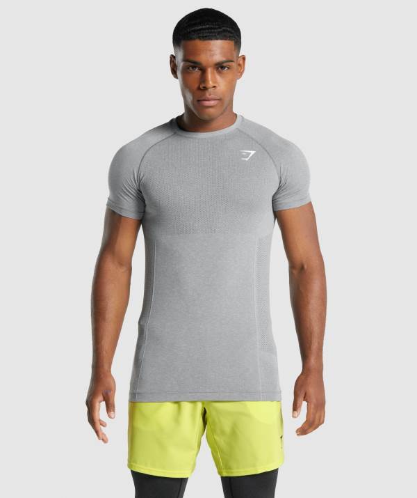 Gymshark Vital Light Seamless T-Shirt Herren Grau | 3169CTNHA